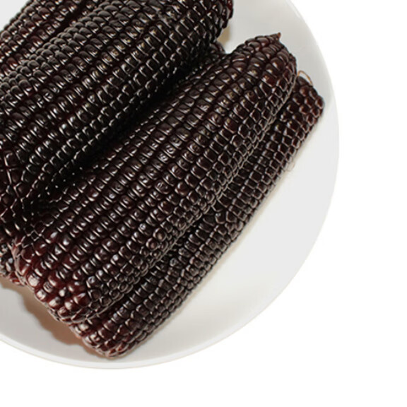 10根 乌粒金花青甜玉米 山西农科院玉米研究所转基因 黑玉米新鲜 乌粒