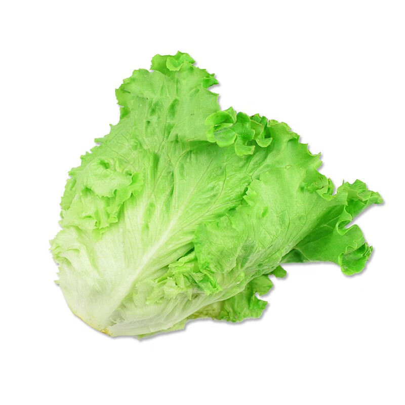 姚鲜品旗舰店新鲜生菜青菜农家蔬菜批发沙拉食材火锅配菜减脂3斤装现