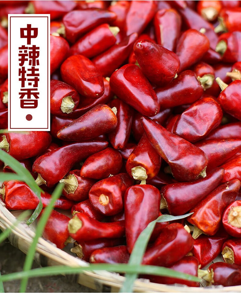 【泸县馆】四川农家子弹头中辣特香500g川菜调料麻辣香锅干辣椒