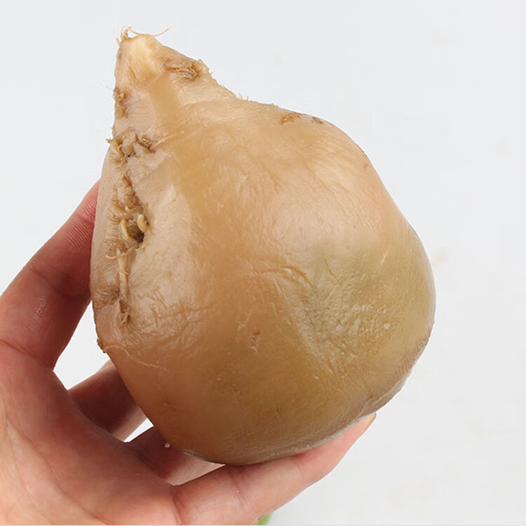 年货芥菜疙瘩咸菜丝15斤装原味山东咸菜疙瘩芥菜大缸腌制咸菜疙瘩1斤