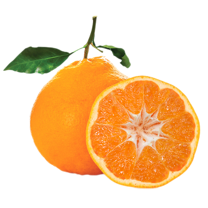 顺丰速运寸金地春见粑粑柑丑橘桔日本引种应当季水果8斤礼盒日本引种