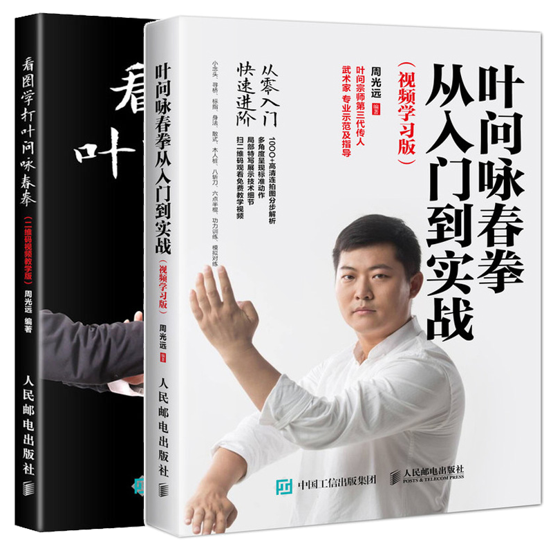 视频教程叶问咏春拳从入门到实战视频学习版看图学打叶问咏春拳