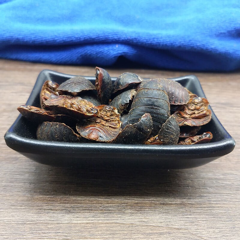 祁曦堂 土元 土鳖虫 蛰虫 500g昆虫类中药材 【土鳖虫】500g【图片