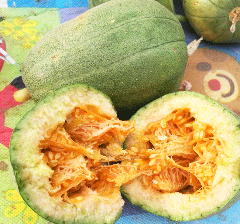 恬女神 榆林芝麻蜜香瓜香甜脆现摘甜陕北绥德芝麻瓜4斤装【图片 价格