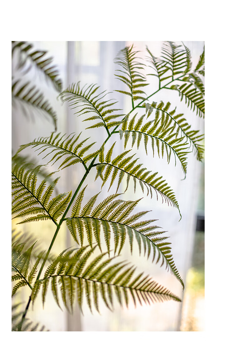 掬涵 仿真綠植金絲猴厥大型落地植物盆景客廳室內外侘寂風蕨類擺件