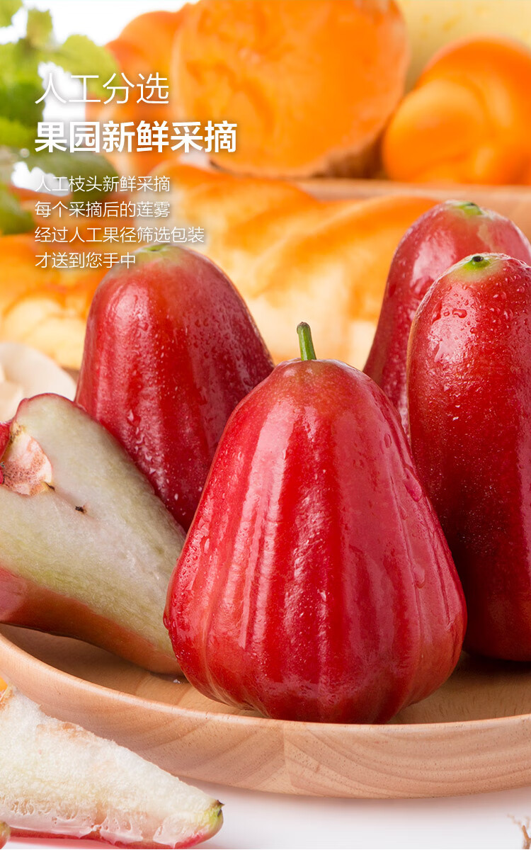 海南黑金刚莲雾1kg装单果约80130g新鲜水果