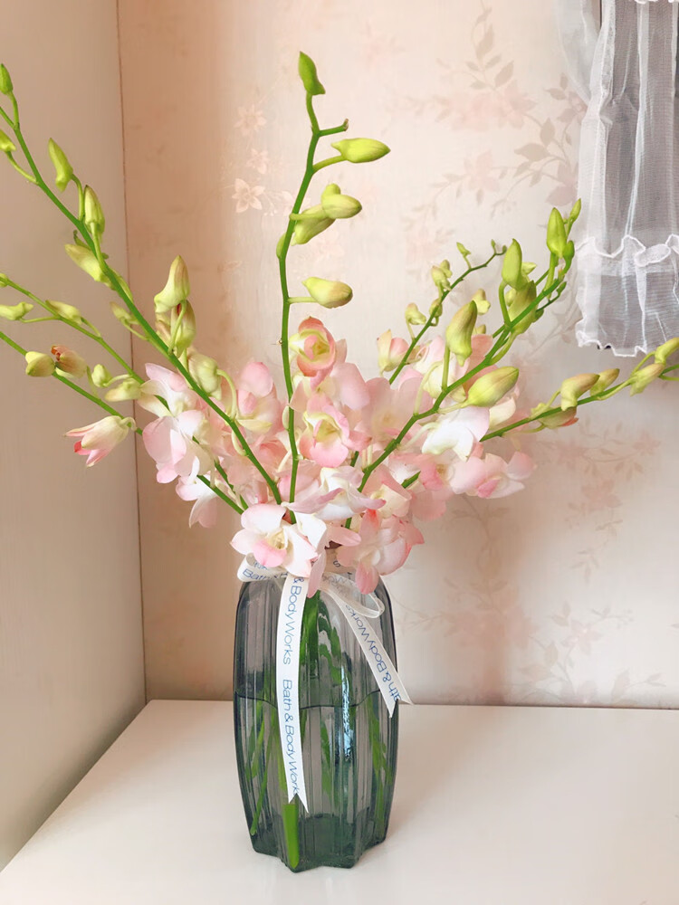 鲜花洋兰杨兰千代兰万代兰插花装饰泰国洋兰 洋兰(白色12支)