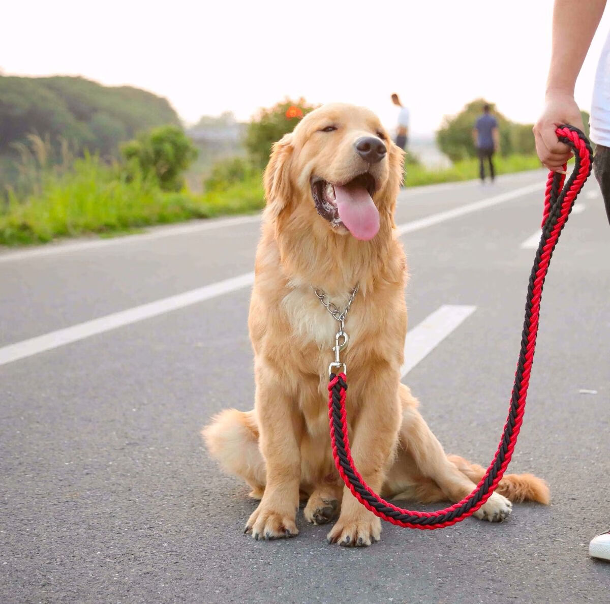 狗绳优选 都是好货 遛狗狗牵引绳栓狗绳子狗链子小型犬中型犬