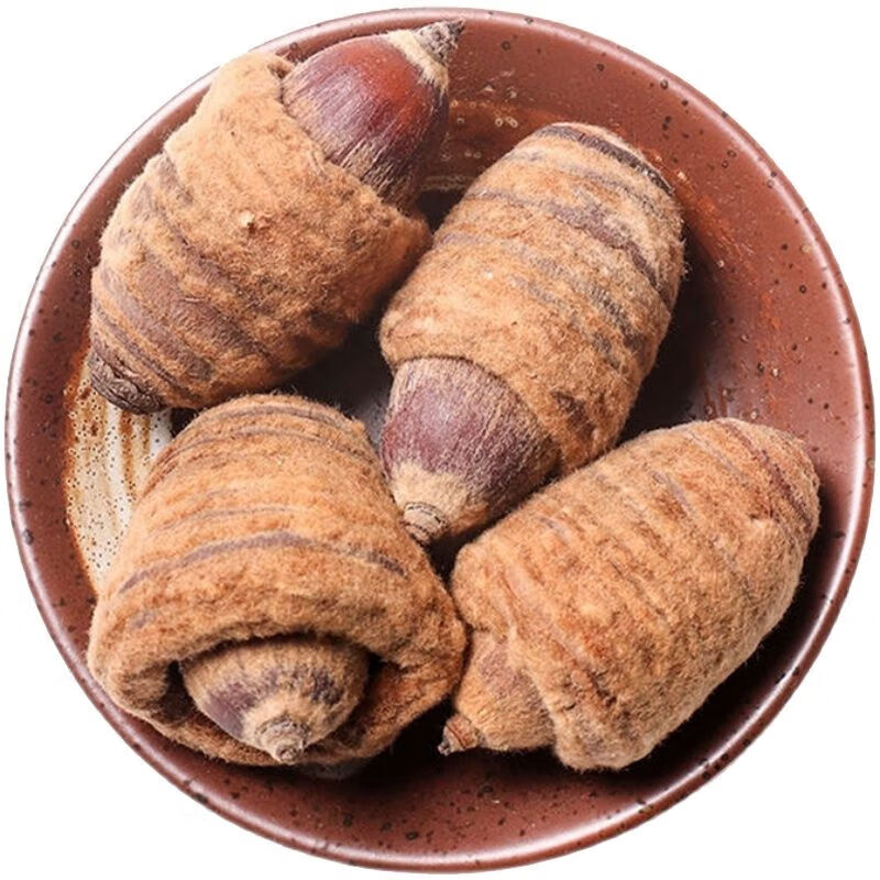 广西狗鞭果特大颗男性男人泡酒果泡酒中药材果子中药材 中草药 狗鞭果