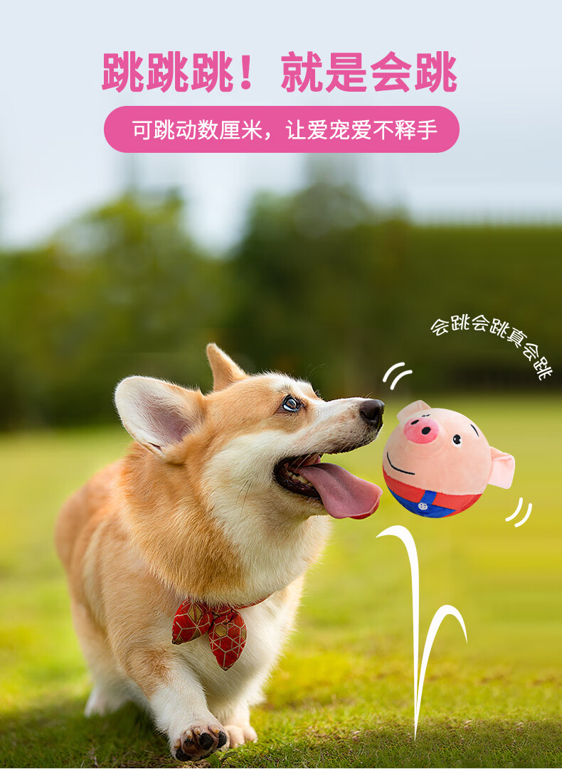 petdaddy 宠物狗玩具跳跳球 逗狗玩具泰迪狗狗幼犬耐咬磨牙发声电动球