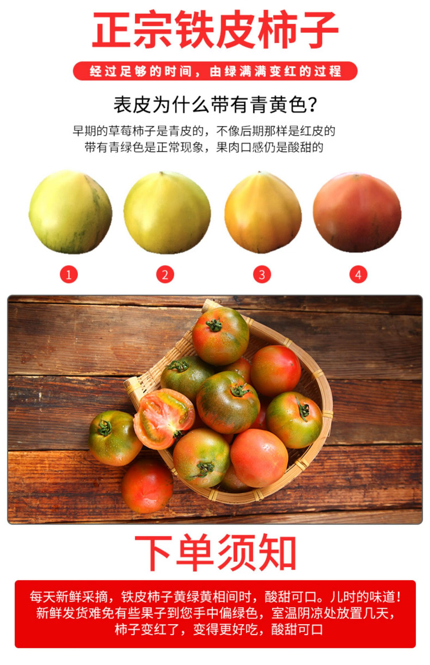 丹东铁皮柿子草莓西红柿 东北绿腚番茄碱地油柿子自然熟生吃番茄新鲜
