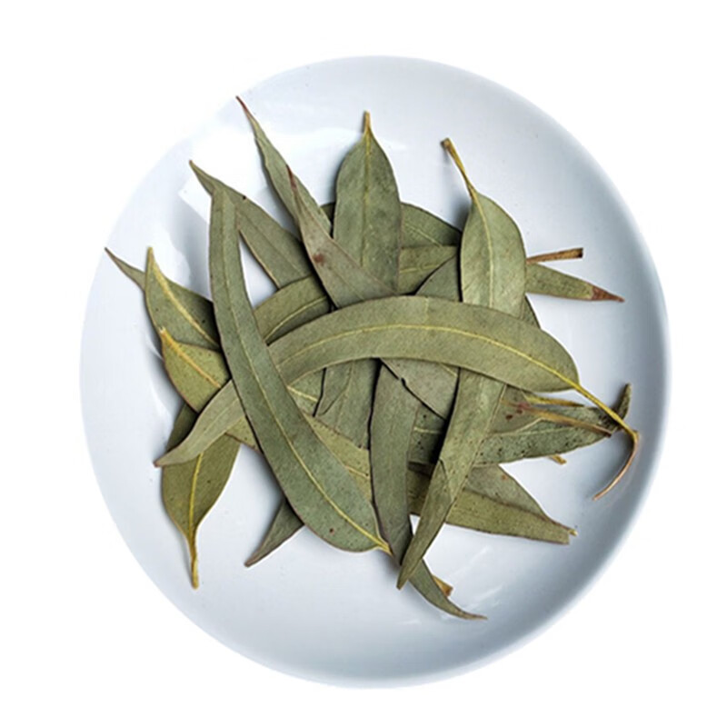 药声录 中药材店铺 桉树叶 桉叶 大叶桉 按树叶