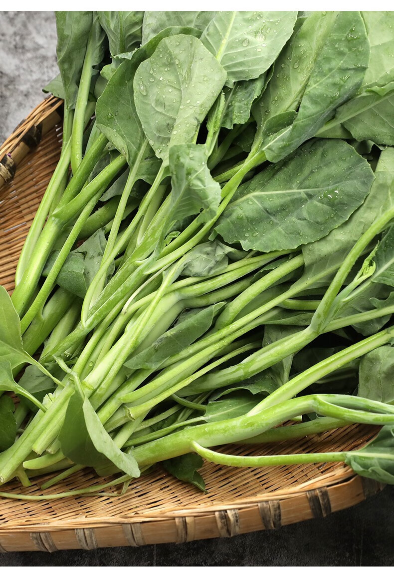 媚调密云本地农家生态种植新鲜蔬菜绿叶芥蓝现摘芥兰食用蔬菜400g 400