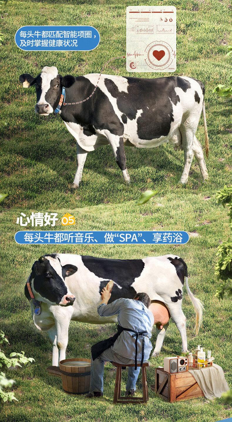 认养一头牛 常温风味酸奶 200g*12盒*2箱 图8