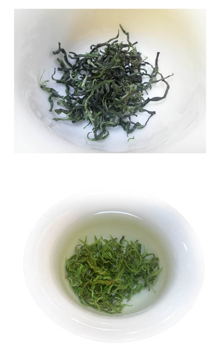 茗播保靖黄金茶正宗绿茶湘西一号级嫩芽浓香高山云雾新茶散装茶叶250g