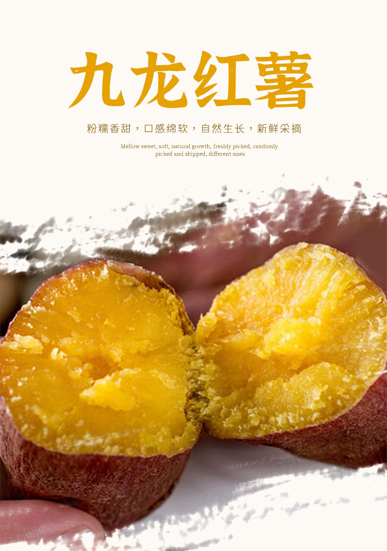 湖北 龙九红薯 新鲜红薯地瓜 3斤