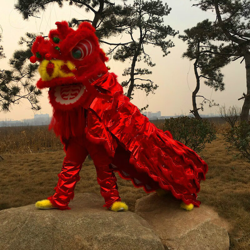 舞狮道具南狮醒狮舞狮子道具狮头南狮子双人舞狮整套 单买狮头1个红色