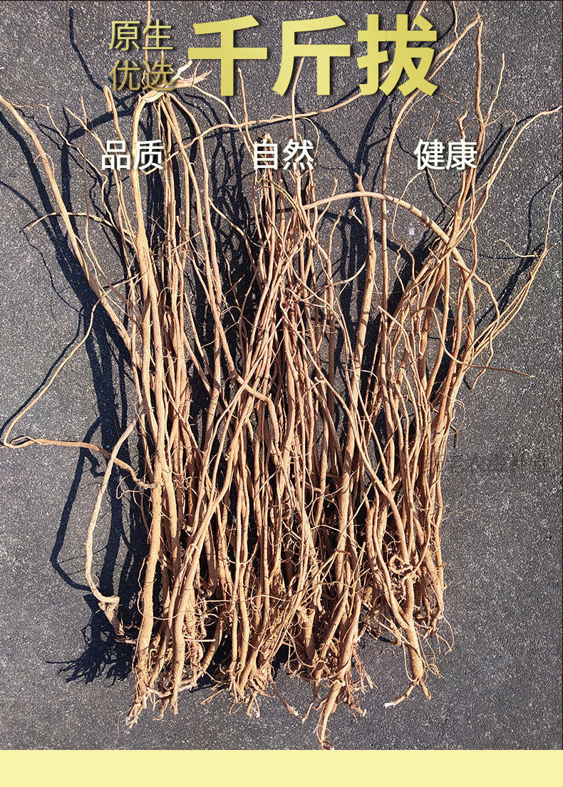 广西中药材千斤拔老鼠尾吊马桩金牛尾新鲜泡酒煲汤料无硫 500g(整条)