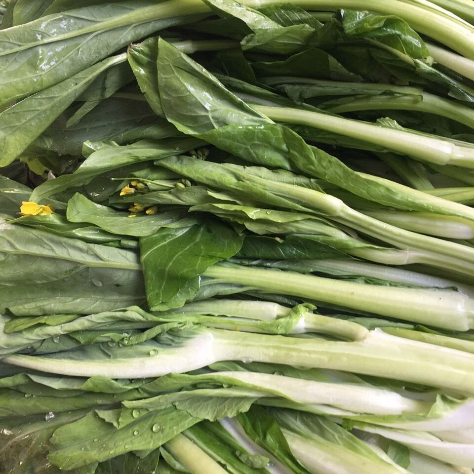 现摘现发白菜苔新鲜蔬菜时令爽口脆甜青菜叶类菜小白菜农家白菜苔现摘
