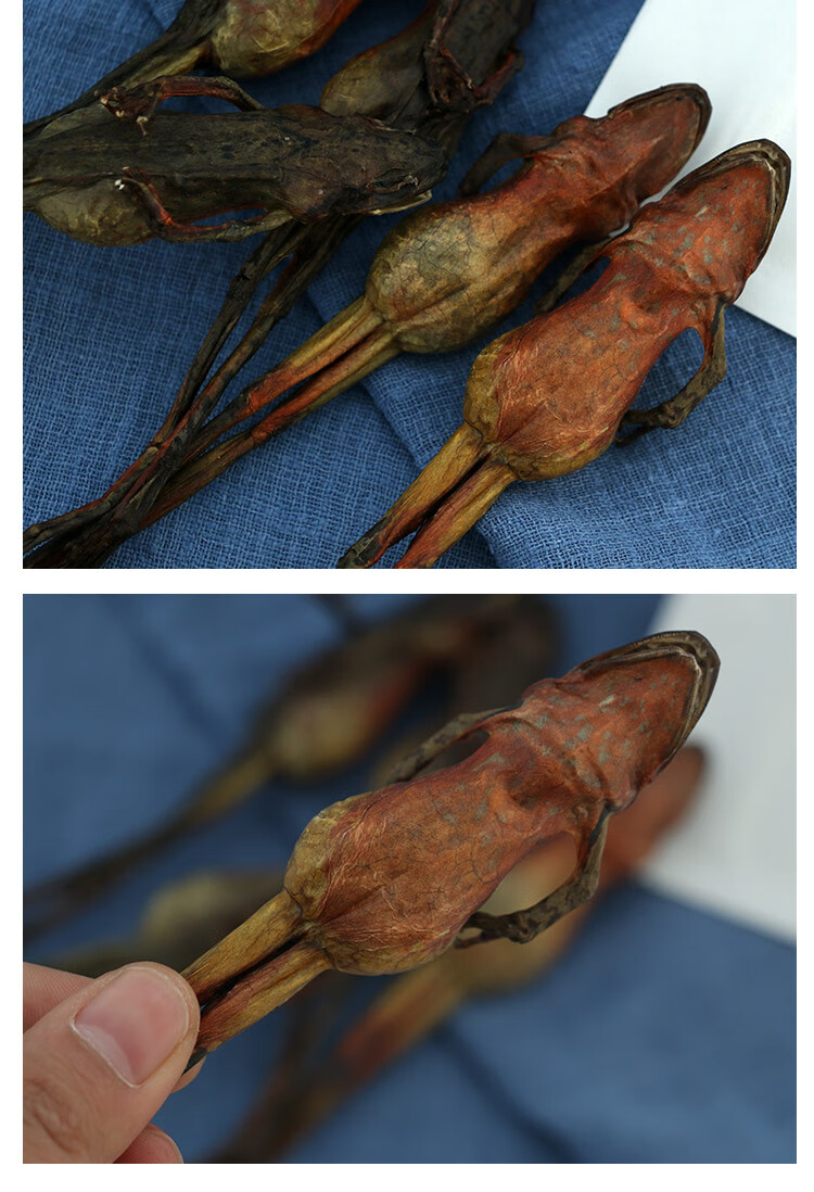 干东北林蛙多给15g干油整只旗舰店新鲜林蛙干货即食