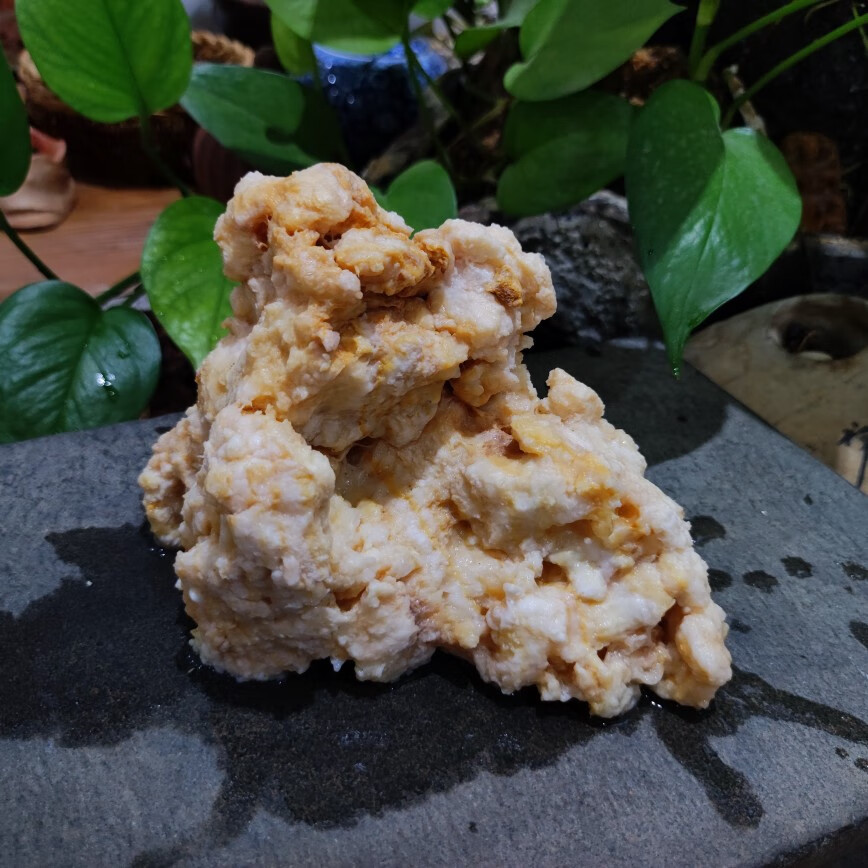 135g长白山石太岁肉灵芝活体太岁溶洞天然野生石太岁泡水整体太岁