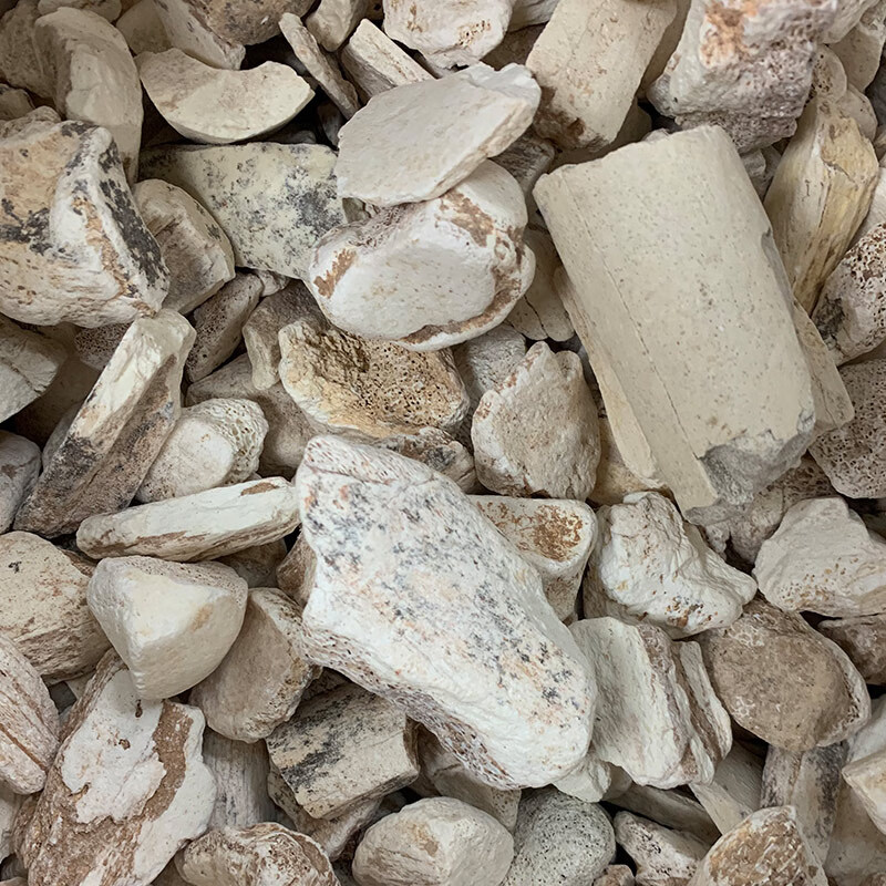 佗迎堂龙骨中药材正宗生龙骨五花龙骨新货500g克可免费磨粉500克