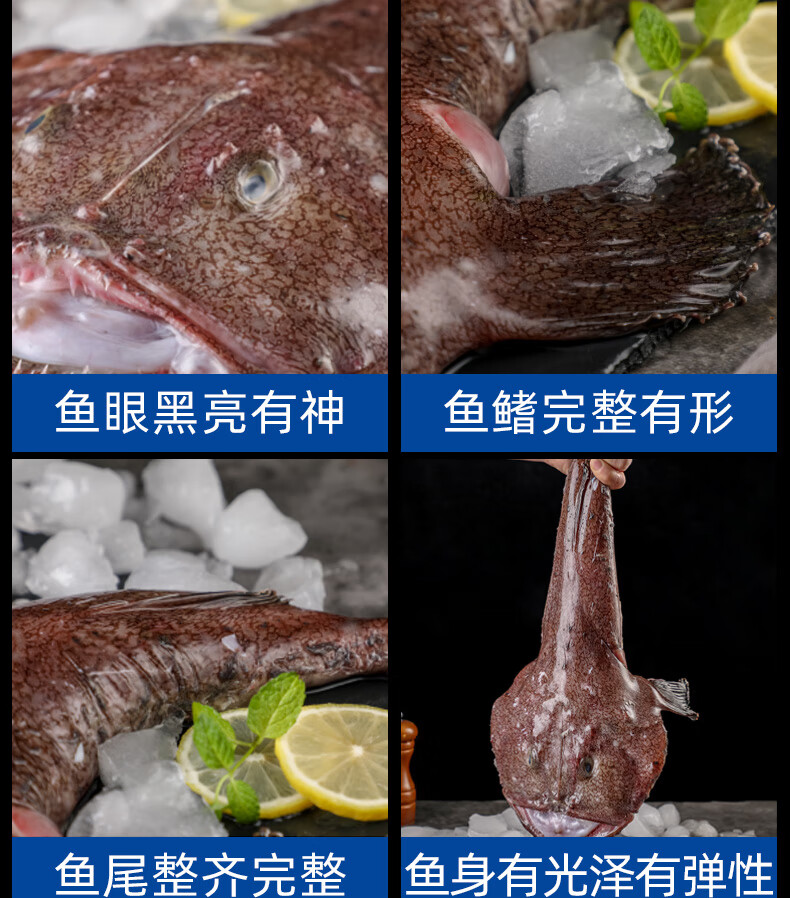 雨林食味安康鱼新鲜生鲜活深海鱼特大海捕海鱼蛤蟆鱼大嘴鱼鮟鱇鱼肝