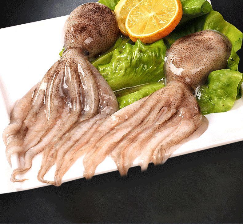 冰鲜迷你八爪鱼4斤海鲜水产深海捕捞火锅食材爆头短腿海捕章鱼青封铭