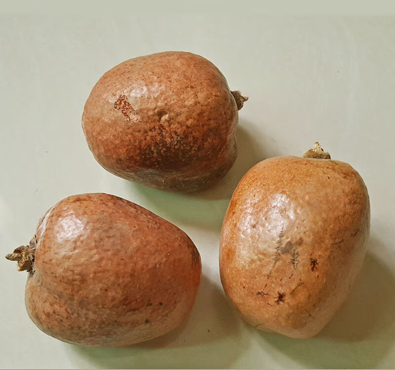 佛心果原籽灯芯菩提原料手串挂坠释迦菩提原果菩提果单颗大果把件sn