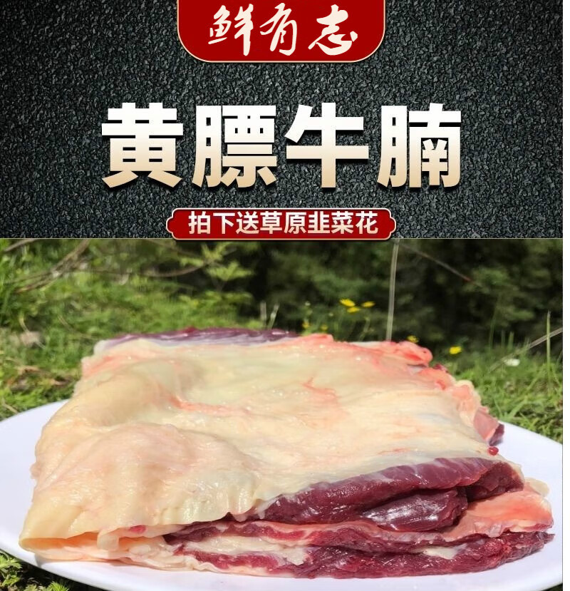 黄膘牛图片