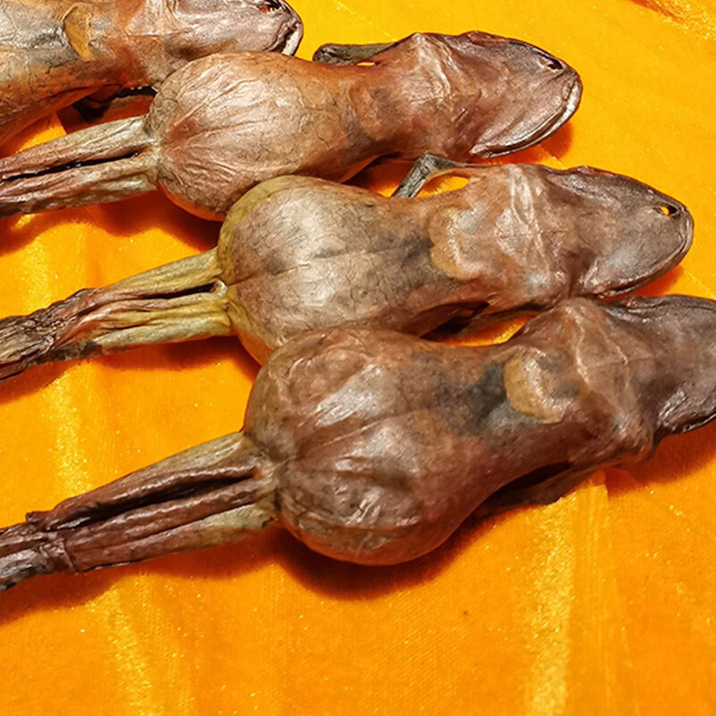 林蛙干特产东北长白山哈士蟆16只装雪蛤油 精品礼盒11g/只共16只