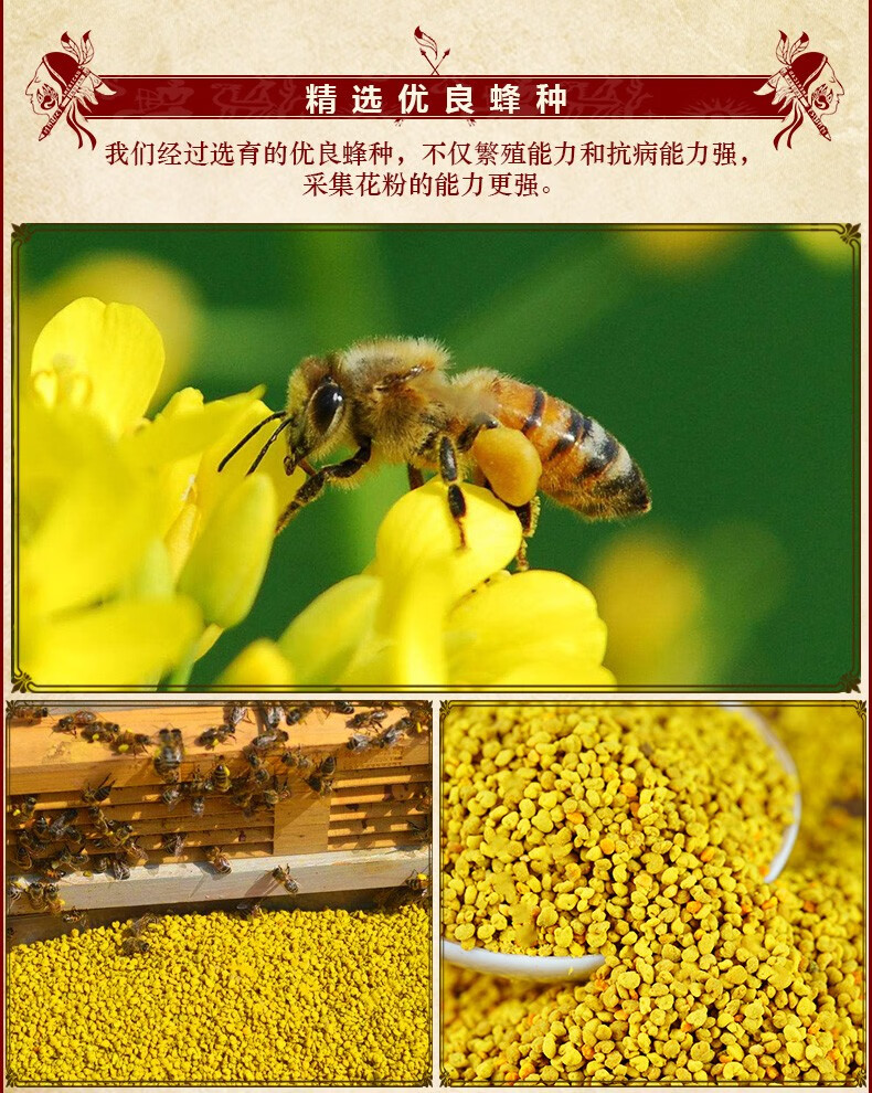 吐火罗云南油菜花粉高原纯蜂花粉天然新鲜食用花粉男人高端滋补0g 2瓶95折3瓶9折 虎窝购