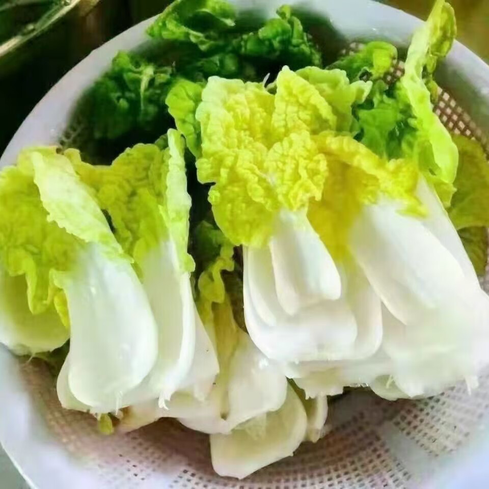 黄心菜简笔画图片图片