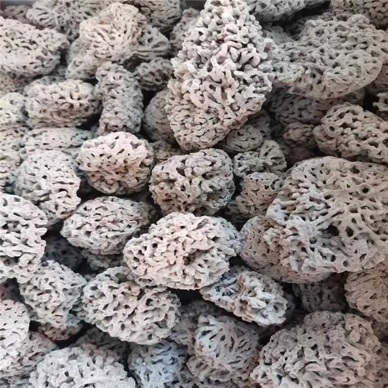 海浮石花中药材海浮石大花水泡石海石花浮水石散装500克