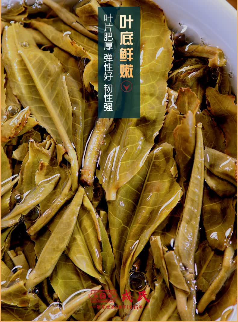 普洱茶十大品牌勐库戎氏2021年极少树头采普洱生茶品鉴装168g