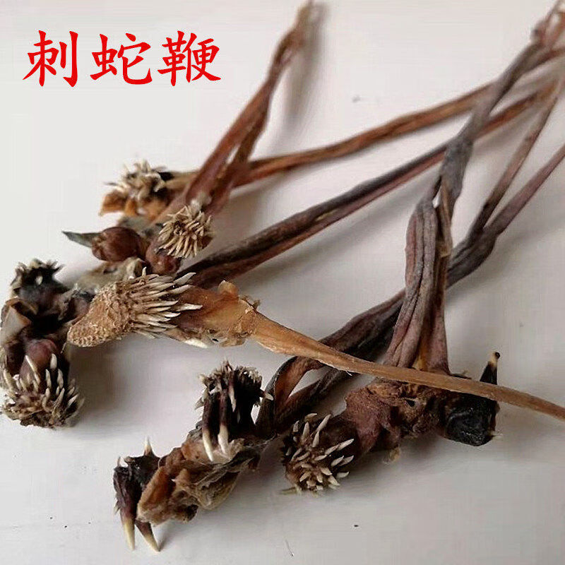 中药材蛇鞭干刺蛇鞭蛇鞭泡酒料2条装5条装10条装2条装