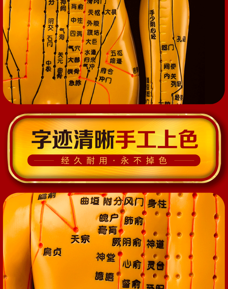 羅脈中醫針灸穴位圖人體模型銅人男女全身十二經絡小皮人針灸銅人模型