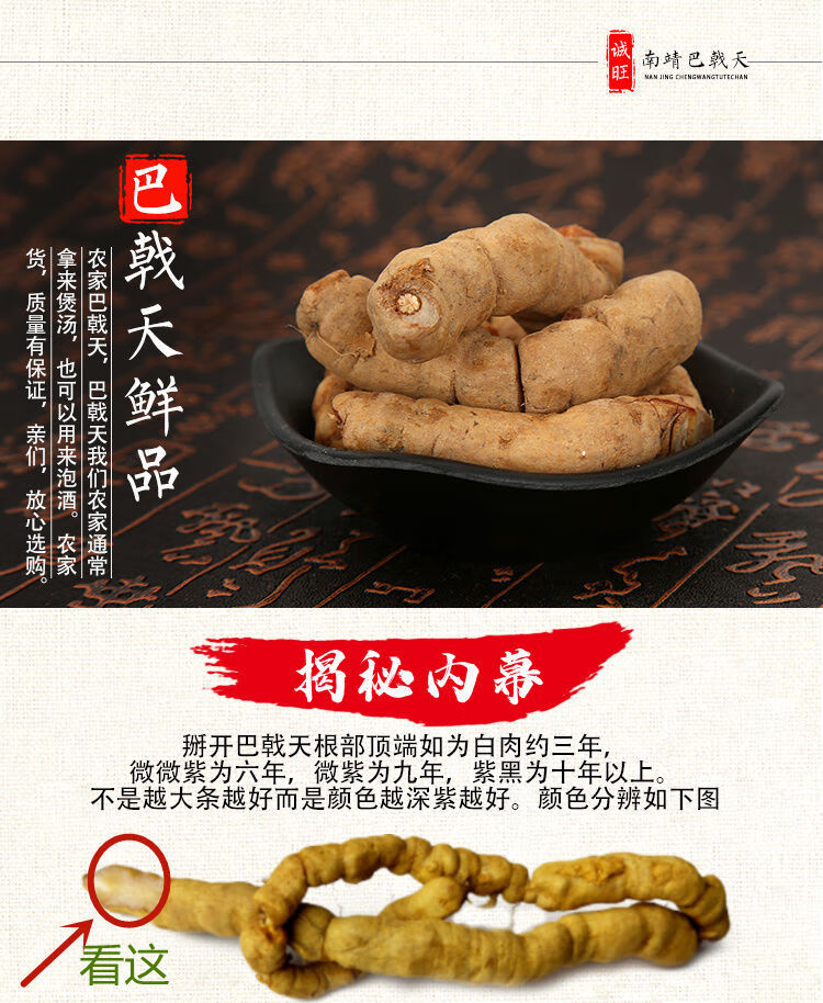 药膳新鲜野生凤眼根巴戟天煲汤泡酒炖品中药食材辅料兔儿肠 生长年限