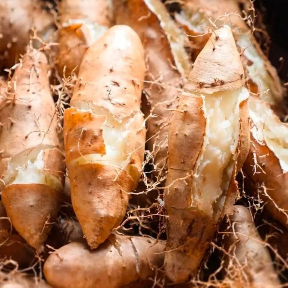 广东毛薯农家新鲜猪仔薯甜薯火苕薯粉糯香山药脚板薯土薯山薯5斤装