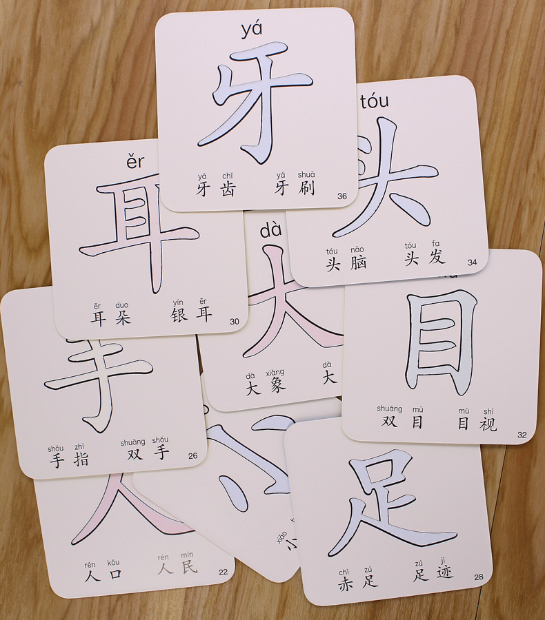 《阳光宝贝撕不烂涂鸦认知卡水画本看图识字卡学前汉字卡片儿童画画