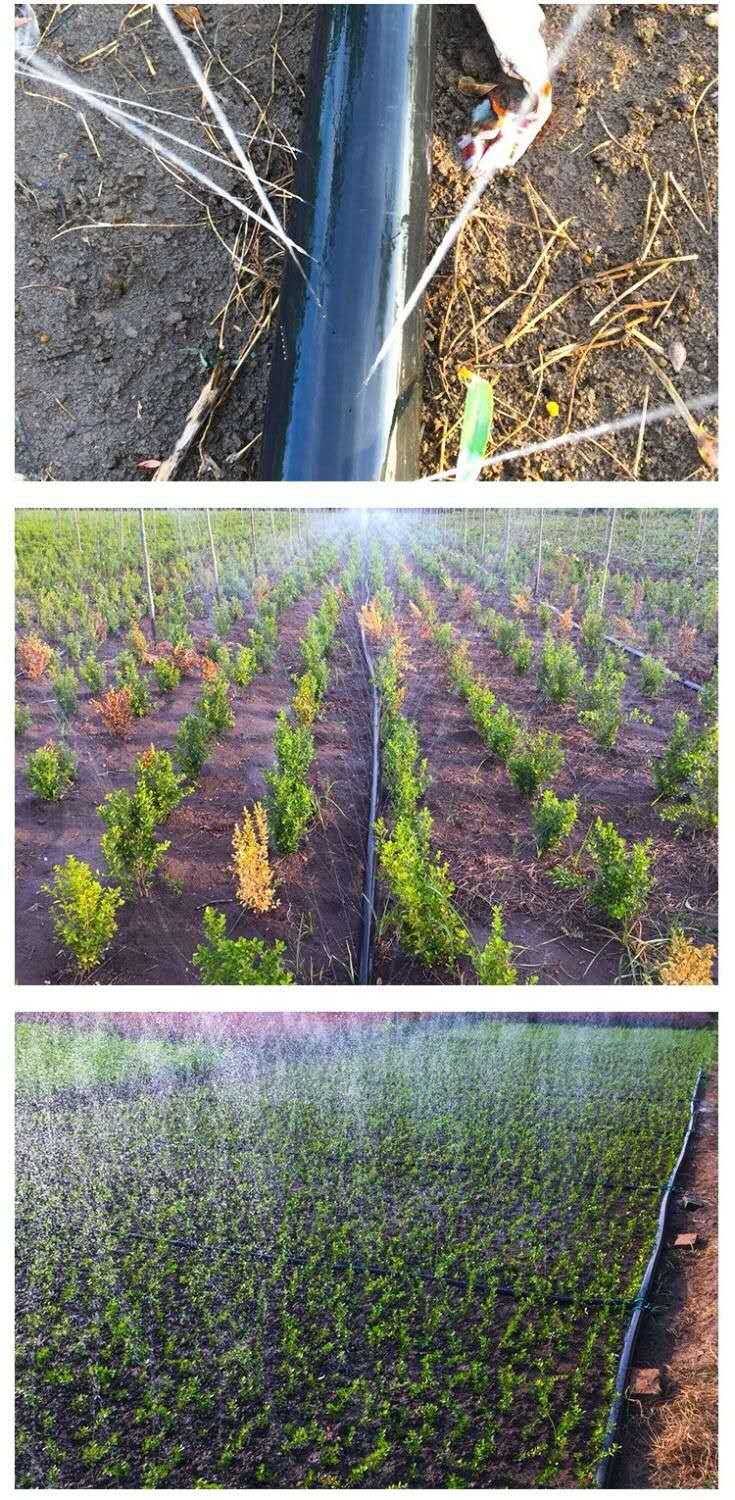 农用微喷带喷灌带滴灌带喷雾雾化灌溉喷水带pe软管及配件1至4英寸 1.