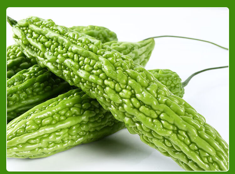 现摘现发山东新鲜苦瓜农家自种当季时令蔬菜凉瓜现摘整箱批发3斤特惠