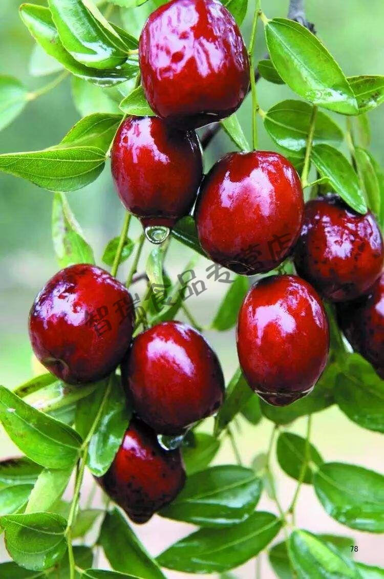 稷山板枣山西运城小枣拉丝免洗红枣干枣泡茶零食干果散装农家2斤 促销