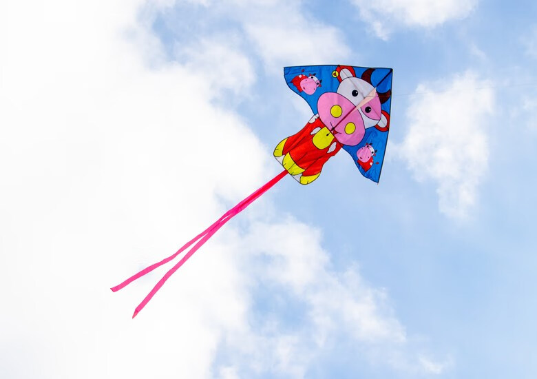 儿童节礼物潍坊风筝儿童微风易飞 大型风筝成大人卡通 小猪佩奇(新款b