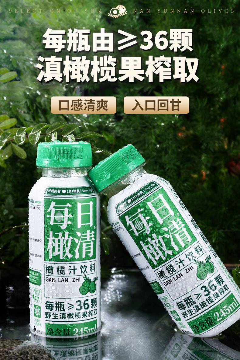 每日橄清滇橄榄汁245ml*15瓶云南玉油柑汁原汁余甘子饮料果汁饮品