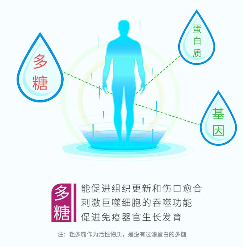 地奥紫黄精片调节提高增强免疫力抵抗力成人男士女士中老年人术后营养