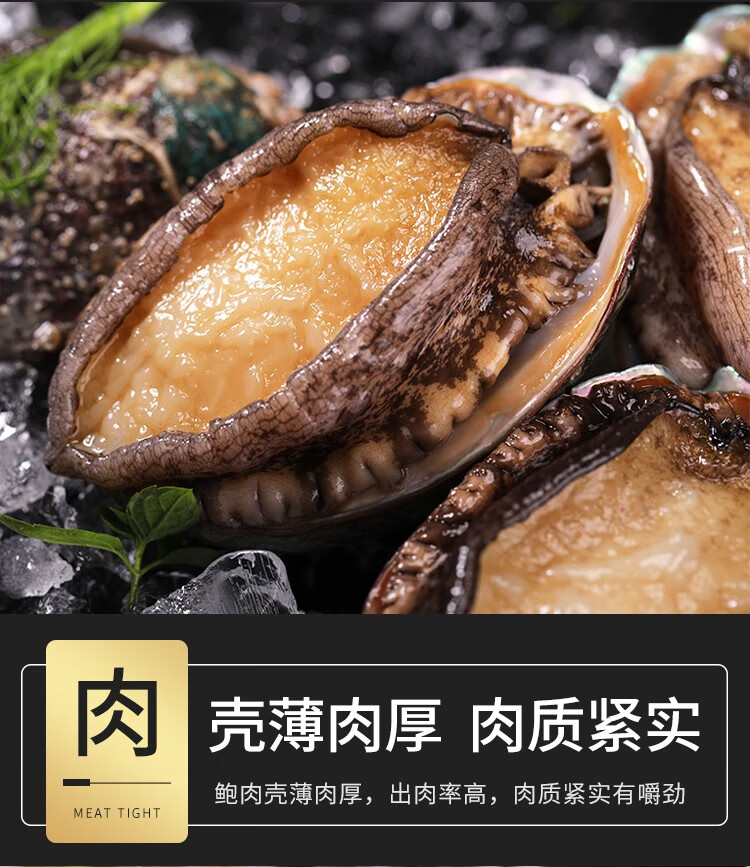 新鮮大鮑魚九孔鮑魚花膠雞鮮活冷凍小幹鮑佛跳牆加熱即食正宗燉盅 18