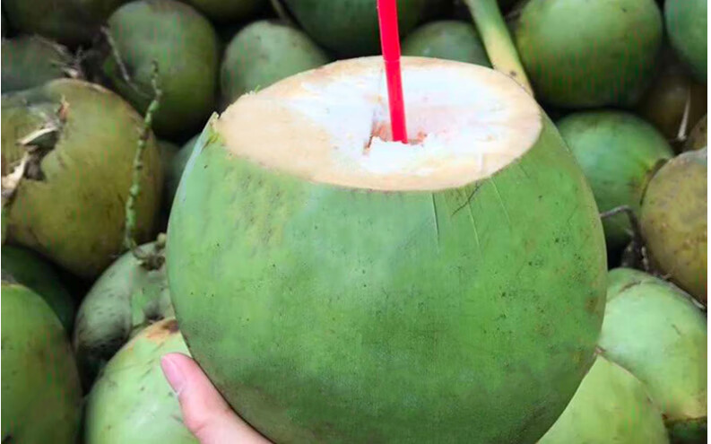 迭果 顺丰快递海南特产文昌带皮青椰子三亚绿皮牛奶老椰子天然优质奶