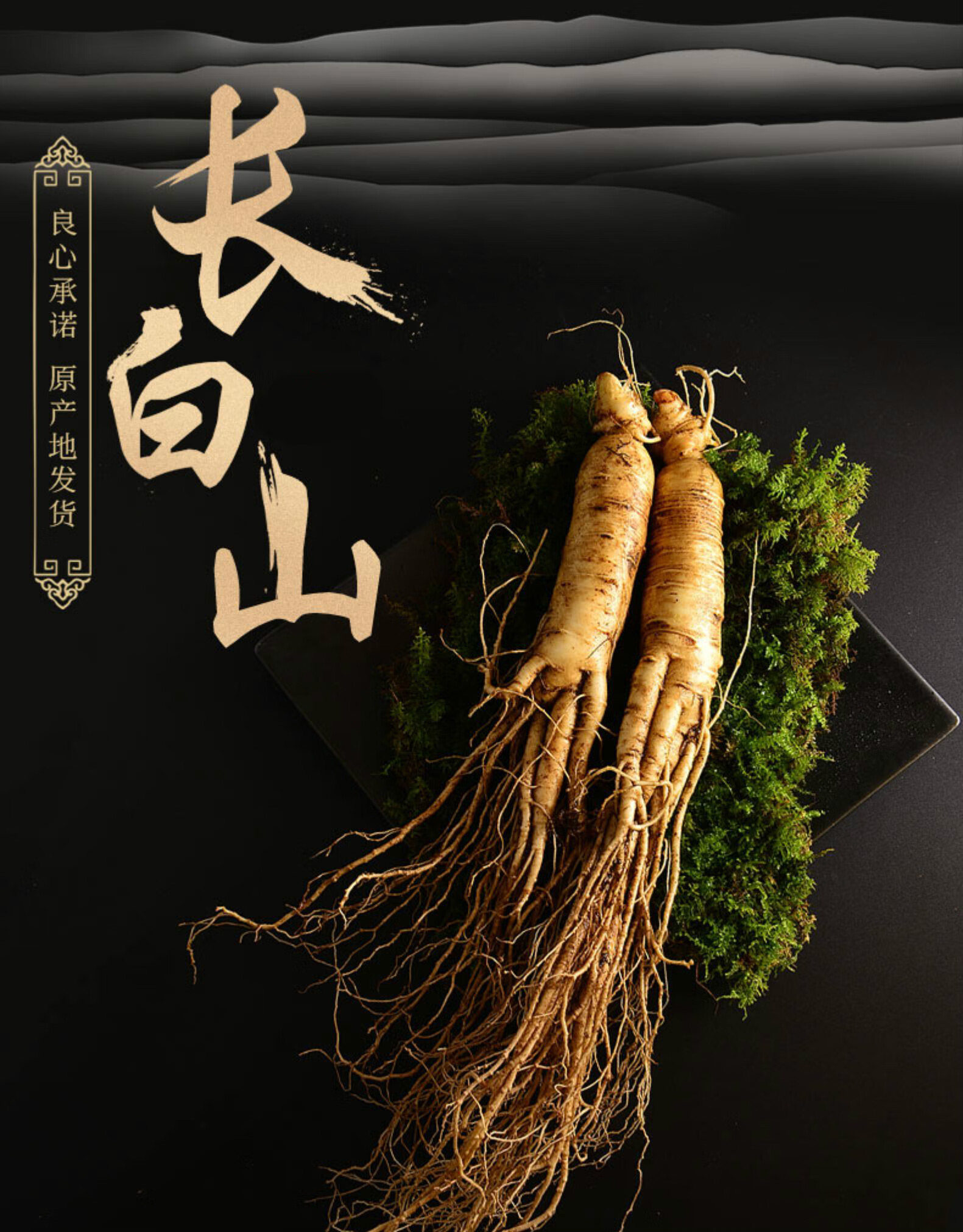 杞里香 新鲜人参 长白山人参东北人参泡酒煲汤新鲜山参人叁 500g 10