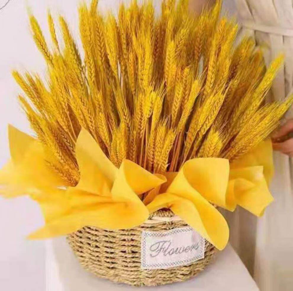 60小米mi生态通用开业花篮天然麦穗开业大麦花篮干花花束客厅摆件